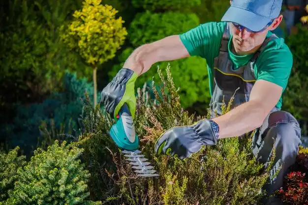 landscaping services Stanberry